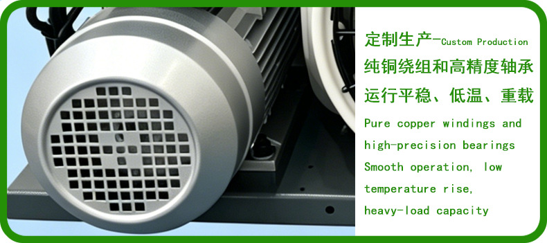 Bs-W100Em Portable High Pressure Air Compressor Rescue Diving Breathing Apparatus Firefighting Air Filling Pump
