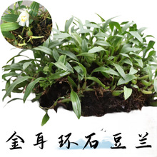 hʯm ʯϙ rʯʯɏҜm辰]