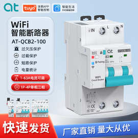 智能wifi计量断路器家居手机远程遥控通断器家用总开定时空气开关