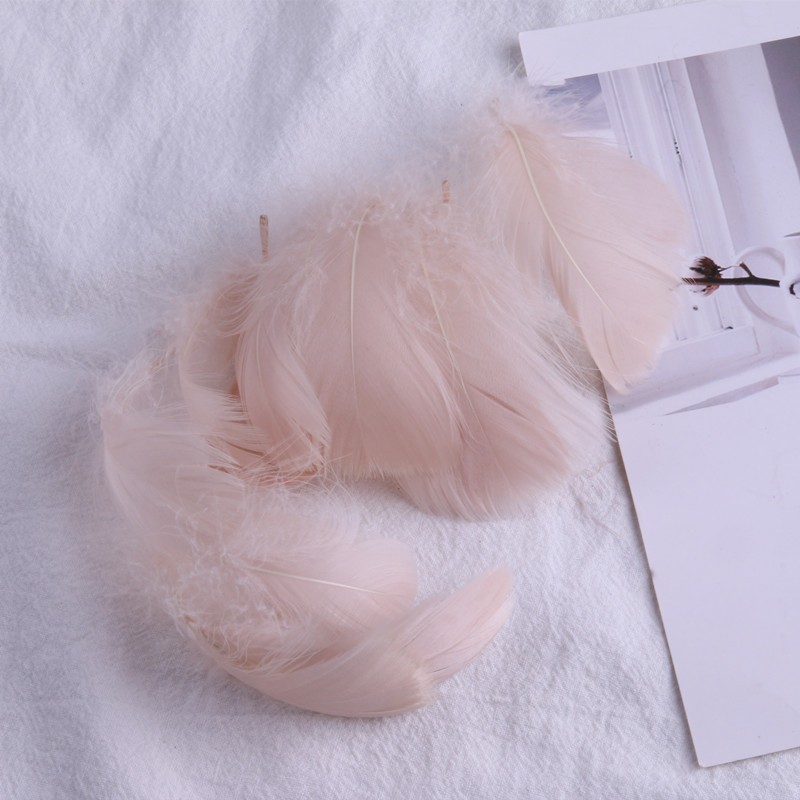 연꽃 뿌리 색 (100 루트 배치)