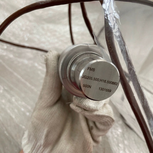 FMS JG205.500.H16 TENSION SENSOR 500N