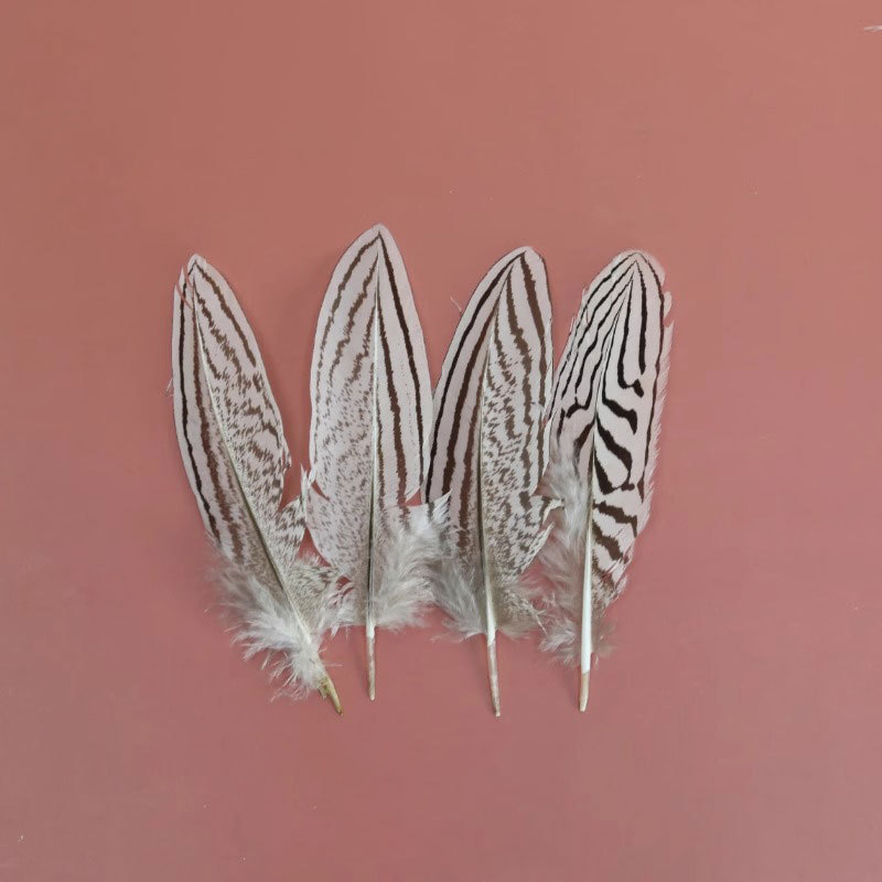 Natural White Feather Decoration DIY Handmade Material Children's Creative Art Accessories Silver Chicken Tail Plunge Wild Chicken Feather Natural White Feather Decoration DIY Handmade Material Children's Creative Art Accessories Silver Chicken Tail Plunge Wild Chicken Feather