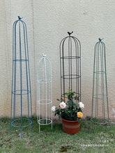 圆形小鸟爬藤架月季铁线莲架做旧鸟笼花架阳台盆栽植物架花盆