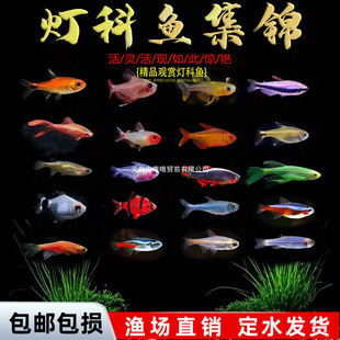 �t�G��ɏ����β�󹴇�����^�p�~С�͟Ꭷ�~Ⱥ�ΰ��]���B