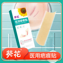 �����̺��N���g��������y����͸��ճ���NƤ�w�������̺��N���l