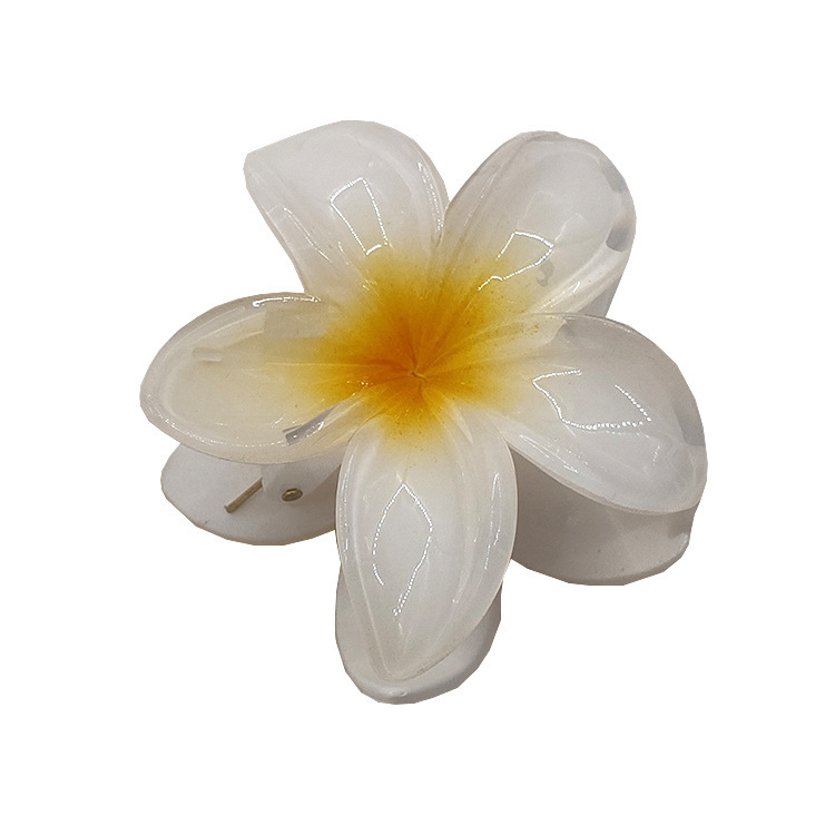国境を越えたアマゾンの卵の花がグラデーションの花のキャンディー色の紫荊花の後頭部をつかんでサメの花を挟んで髪を伸ばします。|undefined