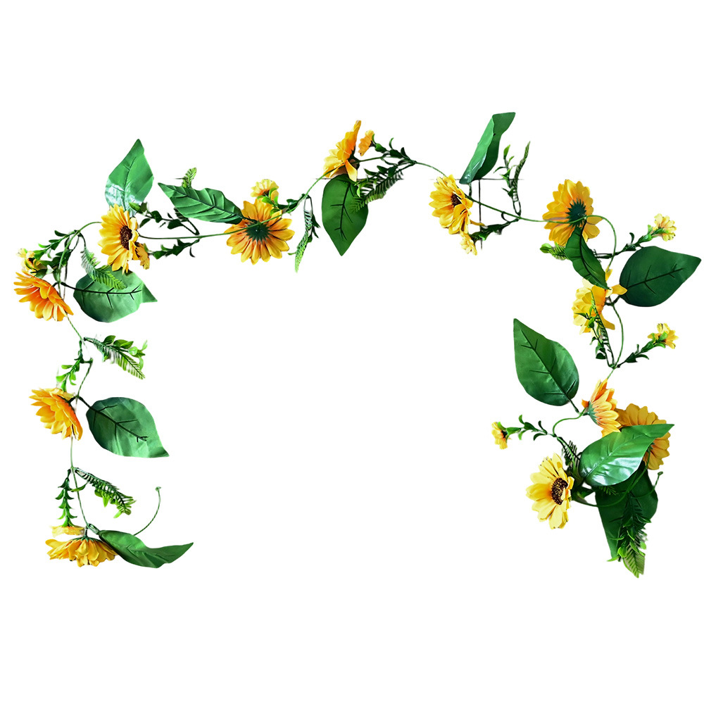 Girasoles / 220CM97G