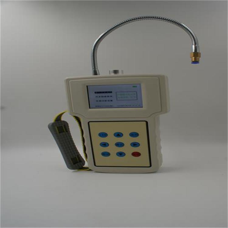 手持式SF6气体检漏仪 型号:ZY21-MP31 库号：M404296