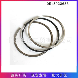 油泵、油嘴;其他发动系统;活塞/活塞环