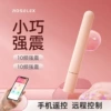 Laurence MINI portable vibrator (pink mini program)