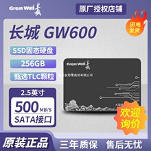 ���ó���GW600 256GB ��̬Ӳ�� SATA3.0 �ʼǱ�̨ʽ GW600256G