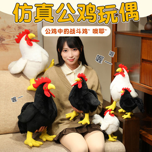 �ɐۿ羳������u��ż��ͯ���沼�������uë�q��߶Y���ӶYƷ