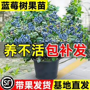 �{ݮ��������Ԏ������҃��̨�ϱ��������ͺ������{ݮ���ļ��Y��