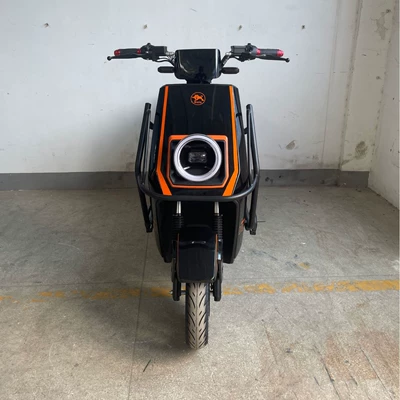 Export Fangniu electric motorcycle, Elektrikli motosikletlər