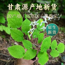 ����޽�~��Ʒ���Դ���ɐ���iꖲ��ؼ�����ș��Ұ�����`Ƣ��ˮ�ݾ�