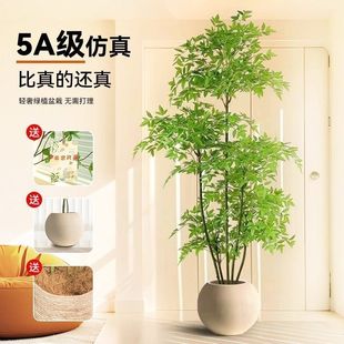 ����ֲ��������������Է����Gֲ�[���͏dɳ�l߅�Ҿ��b��辰�٘�