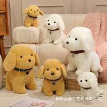 �ɐ���ؔ����������ë�q��ż��ëС����ͯ��鰲������Ů���նY��