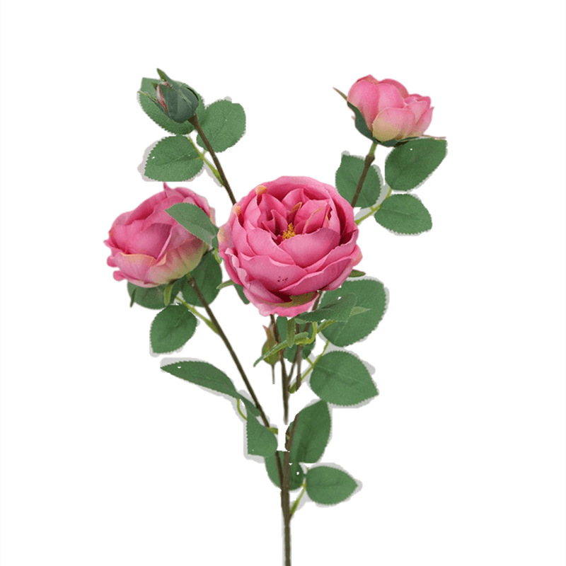 Artificial Austin Rose solo multi-cabeza sentir Rosa boda flor artificial hogar Flor de seda flor falsa al por mayor