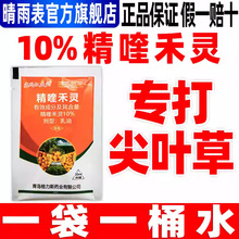 精喹禾灵除草剂厂家批发 尖叶杂草除草烂根剂 杀芦苇茅草牛筋草ZB
