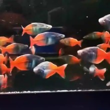 ʯ�����~ �^�p�~ С���~ �Ꭷ�~ �����~