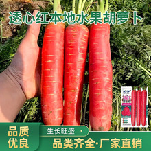 ͸�ļt����ˮ�����}���������͸�ļt���}���N���}���N�ӏS�����l