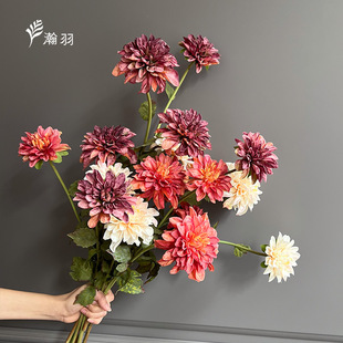 ���l�Wʽ��֦2�^��ꖴ��������滨�A��ĵ���մ����������Ҿ�ܛ�b