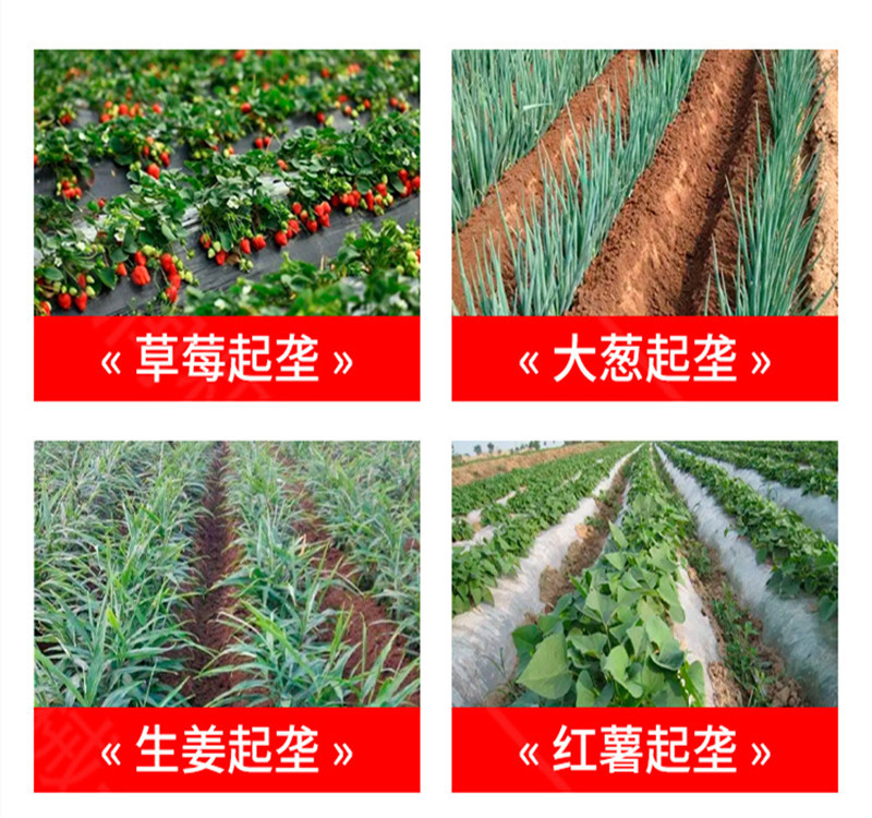 標圖 (53).jpg