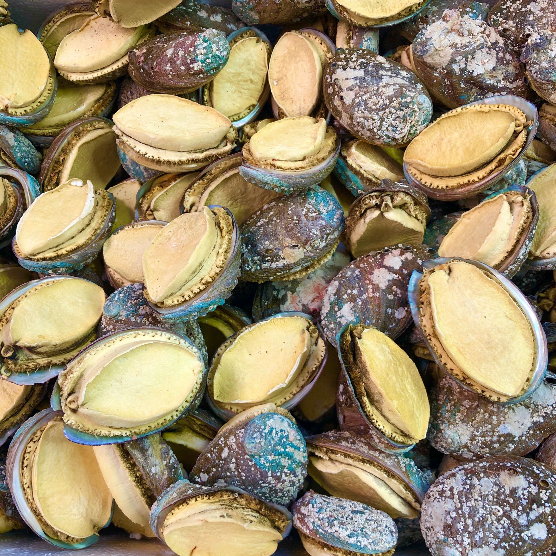 微信图片_20220913085054