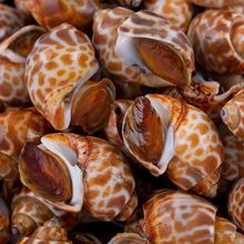 ��������������ؐ������ˮ�a���rȫ�����]���r����Ұ��С����