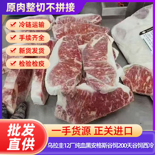 ������12�S��Ѫ�ڰ���˹���200�����������ѩ�����ţ�����l