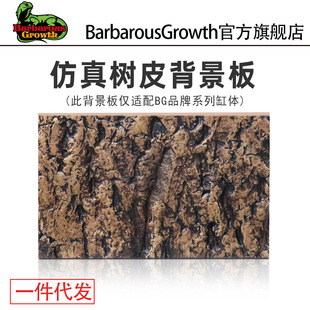 Champagne Wood Bark Spider Shougong Lizard Avoiding Feeding Box Landscape Bark Background Fire Rose Spider Avoiding