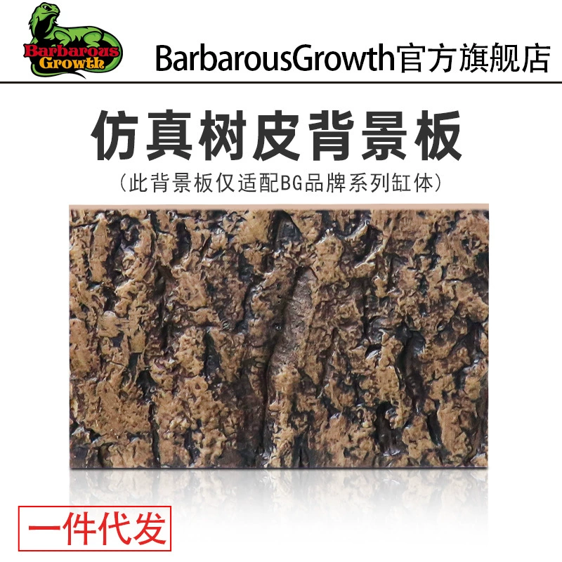 Шампанское дерево коры паук-хранитель ящерица уклоняется от коры коры фон огненная роза паук уклоняется