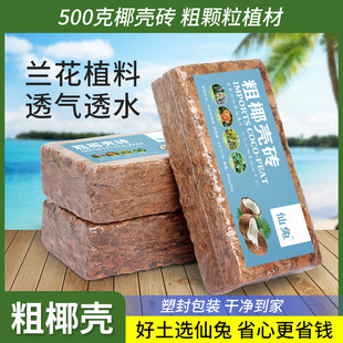 �m�����àI�B��СҬ���u��Ҭ�������mʯ��ֲ�ϴ�Ҭ�K���sÓ�}Ҭ�u