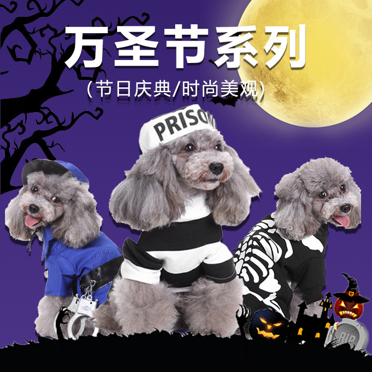 爆金犬ハロウィーンは服装をしている祝日を祝って、高強マジックはしわに強いペット服装をしている|undefined