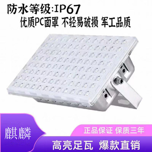 Ant-Series LED Flood Lights: Outdoor Waterproof, High-Power Spotlight for Advertising Signs, Factory Buildings, Warehouses, and Marine Applications