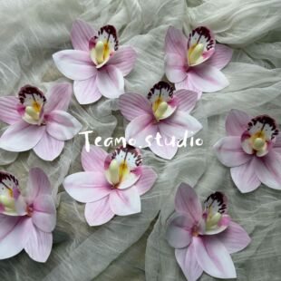 ���滨diyϲ�Ǵ����L�η���ֶY�Y�������b�ޥ�m�����mЬ��ñ��