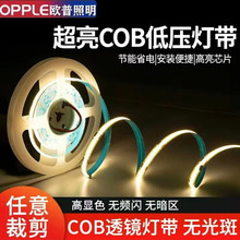 �W������cob�͉���24v��ճ���z���Ծ��Ο�����led�͏d��픟���