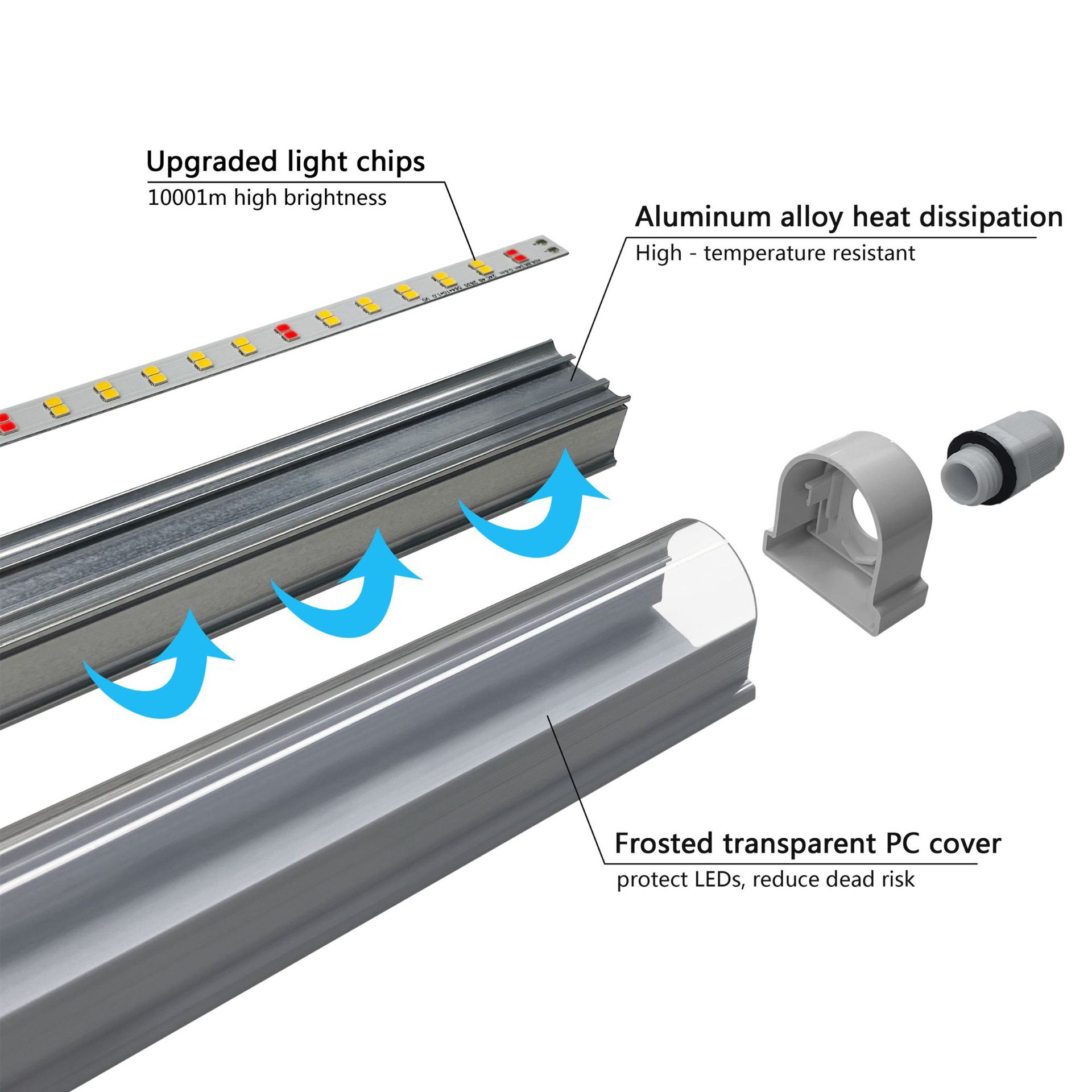 t8�ƹ�ֲ������ڵ���ȫ����ֲ���������߲˴���ֲ�ﲹ���