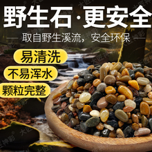 ԭ��Ϫ��ʯ�쾰�~�׵�ɰ��ϴ�Z��ʯ�b����ʯ�^�ŷ��B�~�쾰䁵�