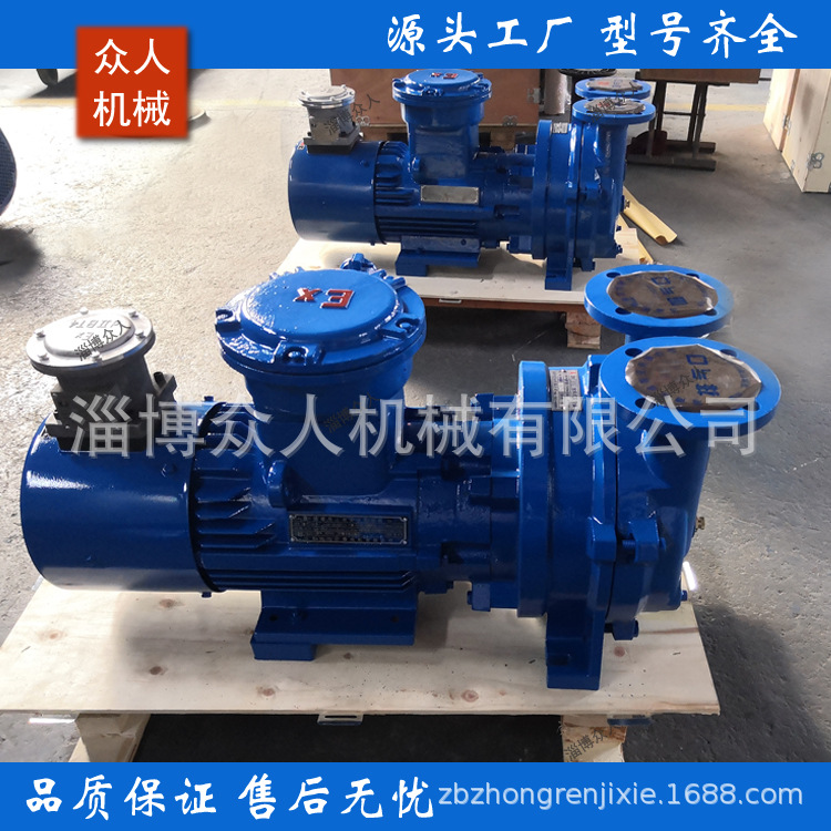 2BV6131 11kw 隔爆电机抽水真空泵 真空抽水泵装置 负压给水设备