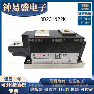 DD231N20K Germany Power Diode Module DD231N22K DD231N24K New SCR Module