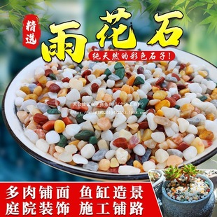 Natural Multicolored Flower Stones, White Pebbles, Succulent Paving, Fish Tank Landscaping, Flower Pot Decoration, Rain Flower Stone Paving, Pebble Batch