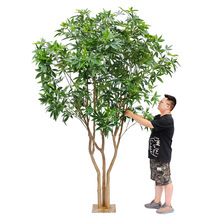 ����Gֲ�lؔ��ܛ�b���^����c�Ƶ�e���쾰�b��҃�����ؼ٘�