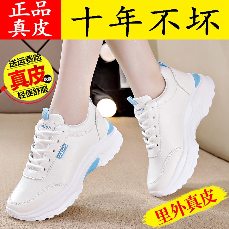 D09 블루