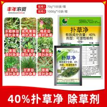 40% ��݃����޻�ˮ�����ﻨ�������r��������~�s����ǰ���݄�