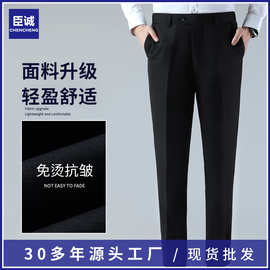 西裤男正装商务免烫西裤男中年西裤男款防滑宽松男装西裤现货批发
