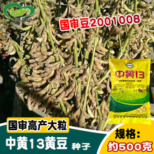 �������S13�S���N�� �r��ˈ@�s���밫�U������M�󶹷N��