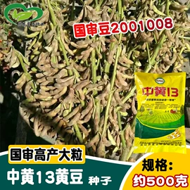 蔬菜种子;其他园林资材