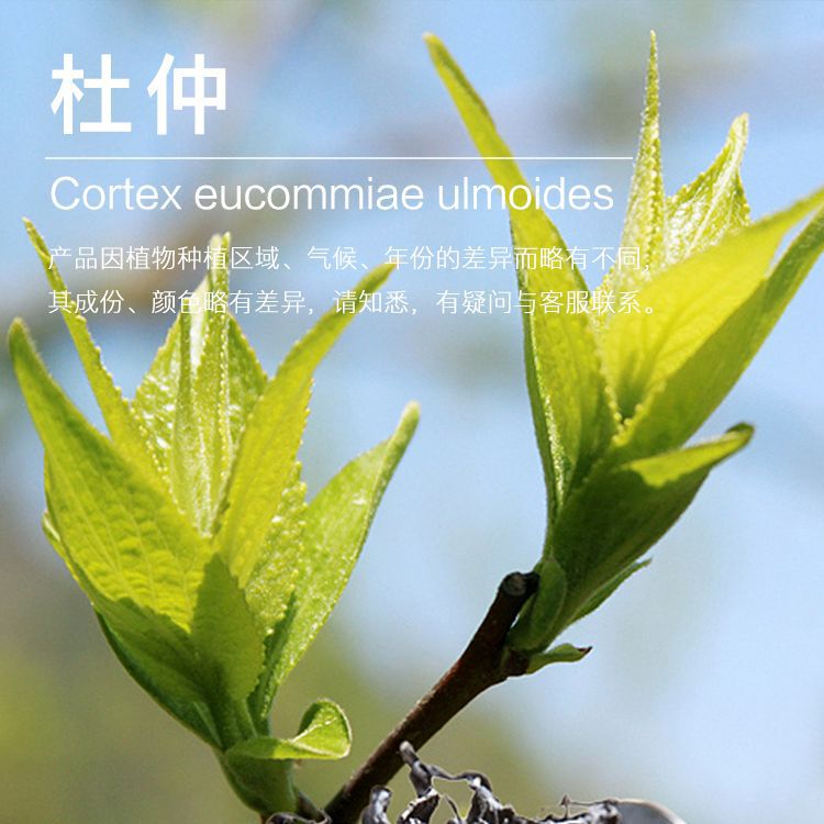 ��Ʒ5ml/ƿ ������С����Ӧ ��ӭ��ѯ������� ��������