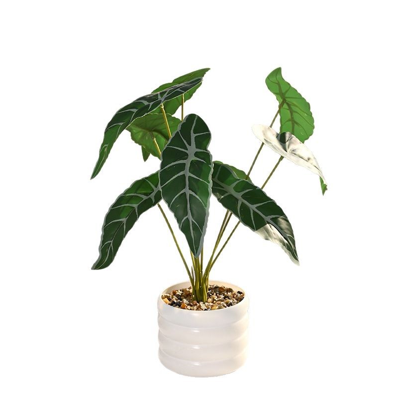 Línea blanca de hoja larga, planta verde, simulación, planta en maceta, flor artificial, decoración de flores creativas, planta verde artificial, bonsai de simulación image 6
